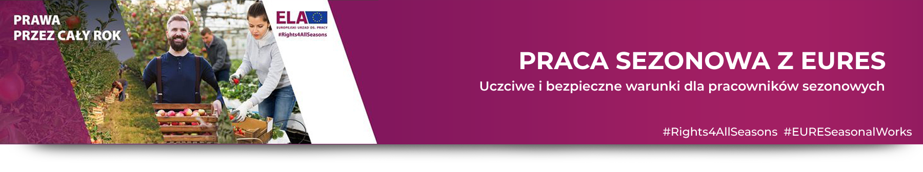 baner promujący kampanie ELA ws. pracy sezonowej w ramach sieci EURES