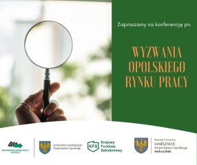 Zdjęcie artykułu Zapraszamy na wideokonferencje